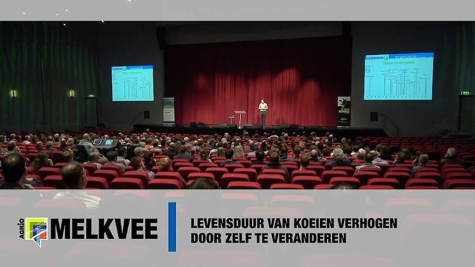 Levensduur van koeien verhogen door zelf te veranderen