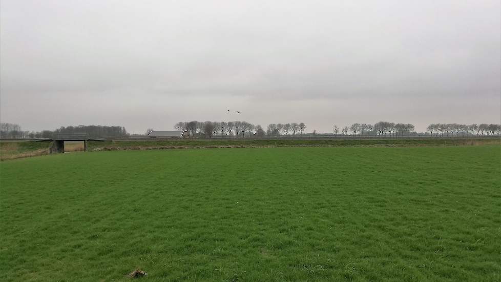 Een ander perceel op afstand, is nieuw ingezaaid met een mengsel van Engels raaigras en rode- en witte klaver. Vorig jaar stonden er aardappels. Bregman strooide hier 2 maart 150 kilo KAS met zwavel.