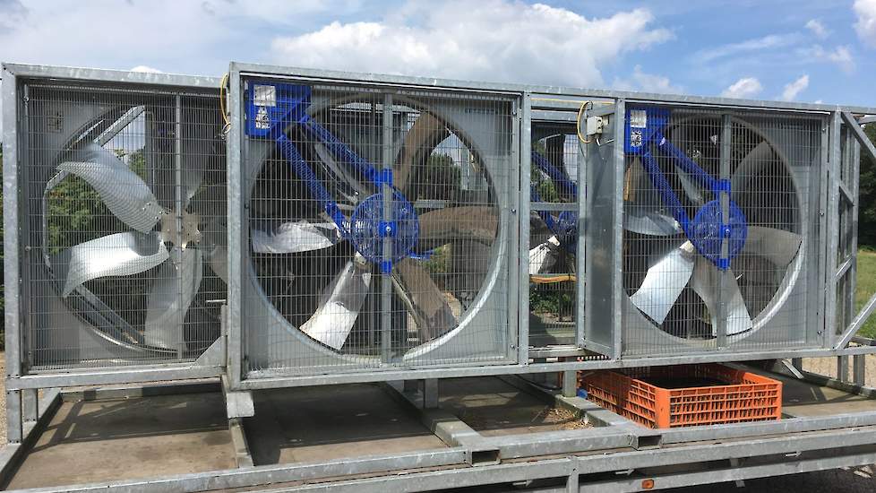 Op extreem warme zomerdagen werken veel vleeskuikenslachterijen met ventilatoren waarmee ze de kuikens op de vrachtwagens verkoeling bezorgen. Bovendien worden de meeste kuikens 's nachts vervoerd wanneer de buitentemperaturen aangenamer zijn.