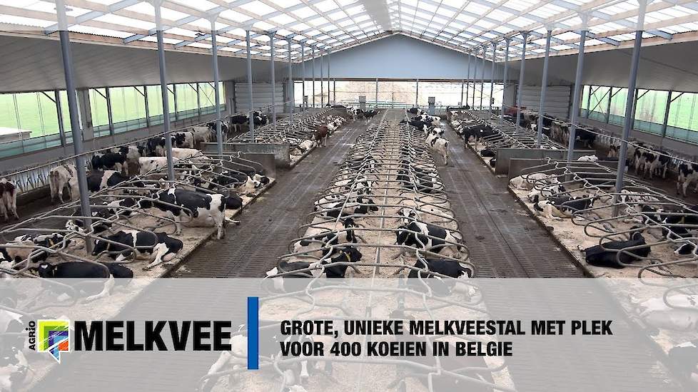 Grote unieke melkveestal met plek voor 400 koeien in Belgie