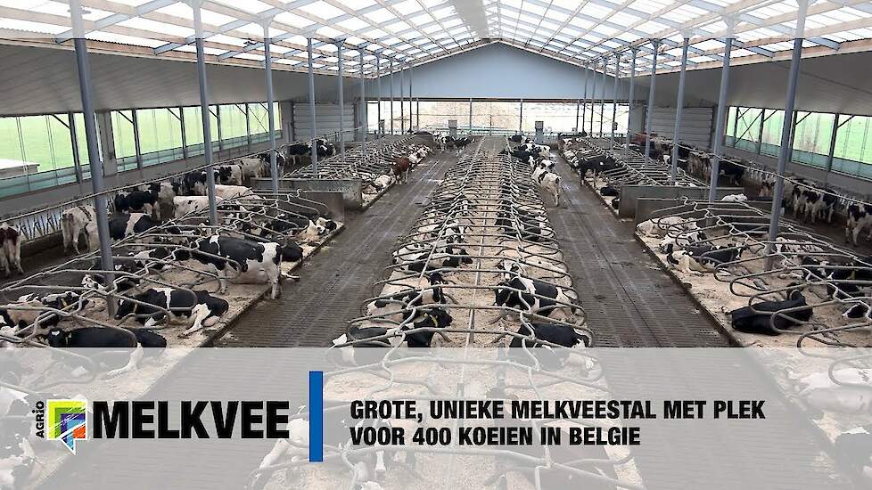 Grote unieke melkveestal met plek voor 400 koeien in Belgie