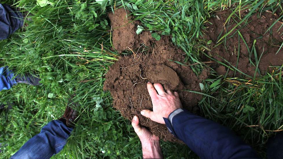 Voor verschillende grondsoorten (te weten klei, zand en veen) heeft Pure Graze een mengsel samengesteld; alleen voor biologische boeren is er slechts één mengsel beschikbaar. Ado Bloemendal vertelt over het belang van natuurlijke systemen en het bodemleve