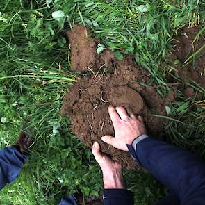 Voor verschillende grondsoorten (te weten klei, zand en veen) heeft Pure Graze een mengsel samengesteld; alleen voor biologische boeren is er slechts één mengsel beschikbaar. Ado Bloemendal vertelt over het belang van natuurlijke systemen en het bodemleve