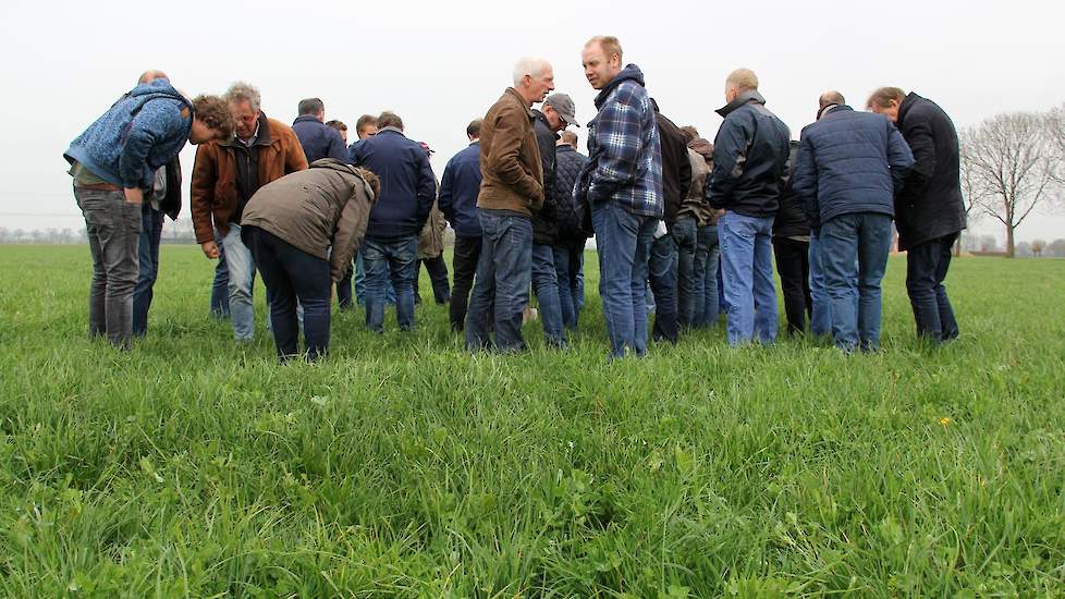 Het eerste perceel dat de boeren bekijken, is vorig jaar april ingezaaid met een mengsel voor klei. Peterselie, klaver, weegbree en meer soorten kruiden en grassen zijn overal zichtbaar.