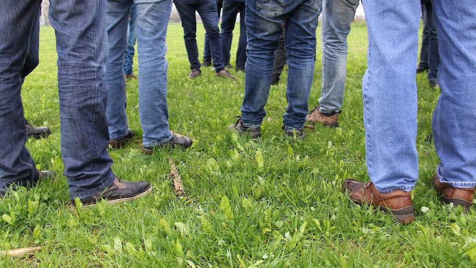 Een vraag uit het publiek is of je de tweejarigen nu wel of niet in bloei moeten laten komen. Als je dit wel laat gebeuren, sterft de plant maar heeft hij zich kunnen vermeerderen, als niet, dan blijven de zogenaamd tweejarige planten gewoon bestaan, en b