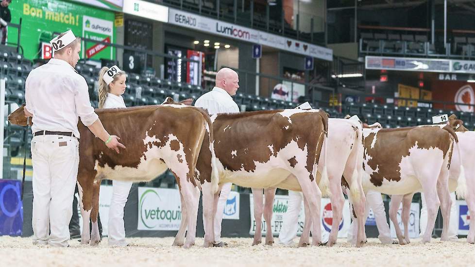 Gen-I-Beq Attico-Red is de hoogst beschikbare roodbonte stier met Nederlandse dochters op basis van NVI. Zijn dochters draaien mee in het Canadese keuringscircuit en de stier realiseert een hoge fokwaarde voor melkproductie, maar scoort voor de meeste Ned