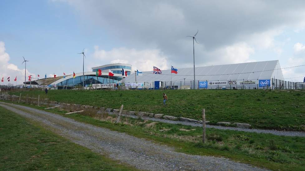 Bij het Libramont Exhibition & Congress was een gigantische tent geplaatst met daarin de showring.
