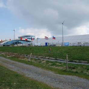 Bij het Libramont Exhibition & Congress was een gigantische tent geplaatst met daarin de showring.