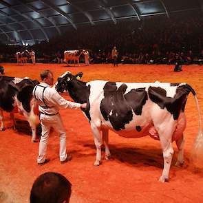 In de volgende rubriek was er ook een negende plaats weggelegd voor Bons-Holsteins Dikkie 189 (Atwood x Sanchez).