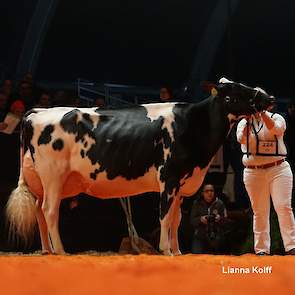 Esmeralda stond er super voor en pakte de zesde plaats in een loodzware rubriek met in totaal tien dieren van een geweldige kwaliteit.