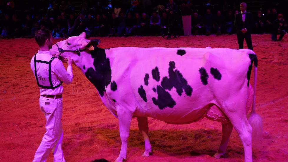 Maar ze had de pech dat ook de geweldige Sunibelle Dempsey Esprit (Dempsey x Sanchez) uit Zwitserland in dezelfde rubriek liep.