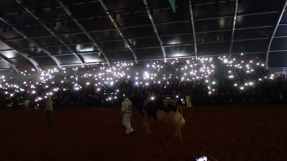 Voorafgaand aan de laatste rubriek gingen de lichten uit en werd iedereen verzocht om de zaklampfunctie van zijn of haar mobiele telefoon in te schakelen om daarmee voor een sfeervolle entree van de oudste koe van de keuring, de Duitse Lady Gaga (Modest x