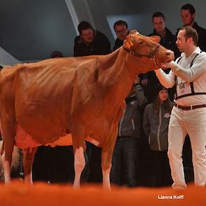 M.H. Alana 5 (Amor Red x Bertil) van Merwehoeve de Groot uit Herwijnen pakte een 1D-klassering in de oudste rubriek roodbonten.