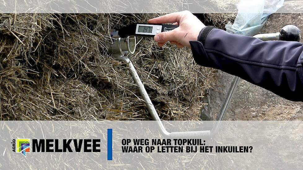 Op weg naar Topkuil: Waar op letten bij het inkuilen?