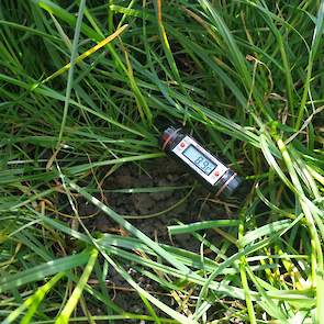 De dagtemperatuur is de laatste dagen weer wat gestegen en van nachtvorst is geen sprake meer. De bodemtemperatuur is in een week tijd met een graadje toegenomen, maar nog steeds vrij laag. Het gras kleurt dan ook nog paars door fosfaatgebrek. „Dat trekt