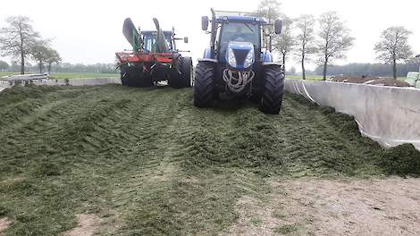 Topkuil › Overgrote deel wacht nog even met maaien - Melkvee