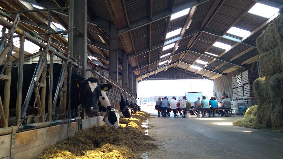 Ruwvoerdag De Heus Workshop Voergang Melkveehouderij