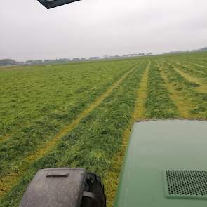 Vandaag gaat de grassnede - drie dagen na het maaien - de kuil in.