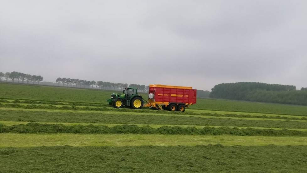 „De bedoeling was om te hakselen, maar vanwege het 'pittige' gras hebben we het met opraapwagens in te kuilen. Met hakselen verwachtte ik dat het gras nog sneller verteerbaar zou worden." Liever had hij het gras nog wat droger gekregen maar de omstandighe