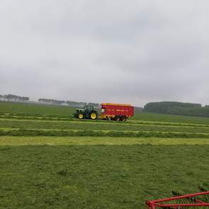 „De bedoeling was om te hakselen, maar vanwege het 'pittige' gras hebben we het met opraapwagens in te kuilen. Met hakselen verwachtte ik dat het gras nog sneller verteerbaar zou worden." Liever had hij het gras nog wat droger gekregen maar de omstandighe