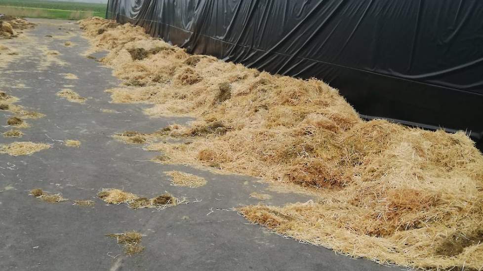 Voor het inkuilen bracht Bregman 6 pakken stro en 6 pakken hooi aan de zijkant aan. „Omdat het moeizaam droogde verwacht ik dat er wat vocht uit komt wat naar de laagste kant van de silo loopt."