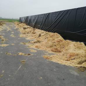 Voor het inkuilen bracht Bregman 6 pakken stro en 6 pakken hooi aan de zijkant aan. „Omdat het moeizaam droogde verwacht ik dat er wat vocht uit komt wat naar de laagste kant van de silo loopt."