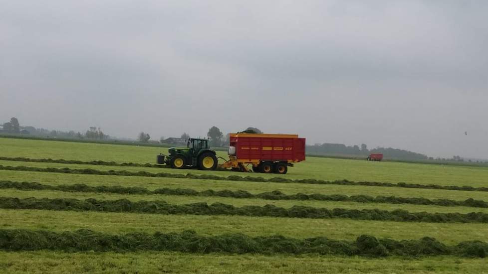 De veehouder gebruikte een nieuw toevoegmiddel die speciaal is ontwikkeld voor snel verteerbare kuilen met veel suiker. Hij wilde beslist geen inkuilmiddel met enzymen. „Die verteren het gras voor, waardoor de verteringssnelheid alleen maar meer toeneemt.