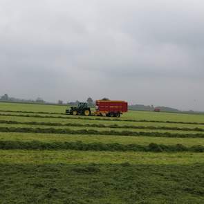 De veehouder gebruikte een nieuw toevoegmiddel die speciaal is ontwikkeld voor snel verteerbare kuilen met veel suiker. Hij wilde beslist geen inkuilmiddel met enzymen. „Die verteren het gras voor, waardoor de verteringssnelheid alleen maar meer toeneemt.