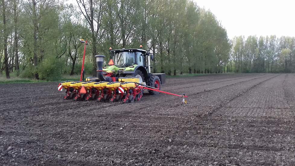 In het najaar wil de veehouder de maïs wat eerder dan anders van het land halen. Daarom koos hij voor het vroegrijpe ras LG 31.211. „Vorig jaar hebben we drie rassen gezaaid die normaal wat later rijp zijn. Alleen wil ik dit jaar wat minder risico nemen e