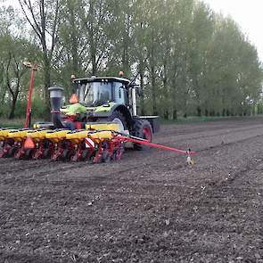 In het najaar wil de veehouder de maïs wat eerder dan anders van het land halen. Daarom koos hij voor het vroegrijpe ras LG 31.211. „Vorig jaar hebben we drie rassen gezaaid die normaal wat later rijp zijn. Alleen wil ik dit jaar wat minder risico nemen e