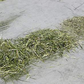 Het geoogste gras werd ontleed met behulp van 3 gele schudbakken, vergelijkbaar met zeven met gaatjes van verschillende grootte. Zo werd duidelijk welke afstelling van de hakselbek resulteerde in meer of minder grof materiaal in de kuil.