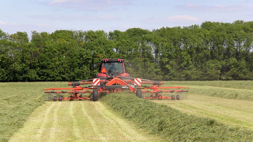 Koen is er vrij zeker van dat diezelfde avond nog alle gras aan de bult zit.