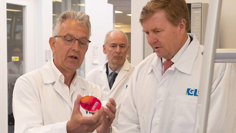 Op de afdeling bacteriologie krijgt de koning uitleg van een laborant. Hier wordt materiaal geënt op een voedingsbodem. De voedingsbodem met het geënte materiaal wordt in een stoof geplaatst om bij een geschikte temperatuur bacteriën (kiemen) te laten gro