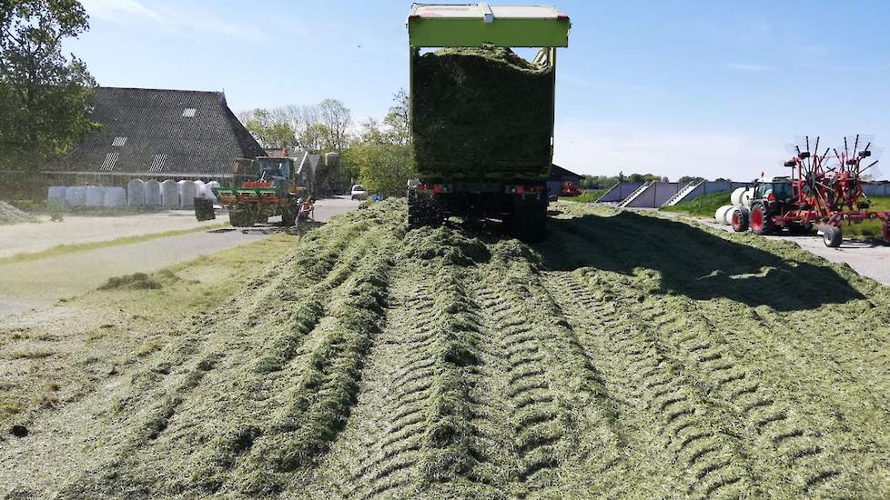 De veehouder schat het drogestofpercentage op minimaal 45 procent. „In combinatie met het wat stengelige product en het feit dat het niet is ingekuild in de sleufsilo, is de kuil waarschijnlijk broeigevoelig in de hoekblokken. Maar ik laat dit gras toch i