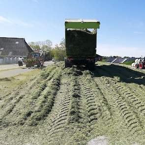 De veehouder schat het drogestofpercentage op minimaal 45 procent. „In combinatie met het wat stengelige product en het feit dat het niet is ingekuild in de sleufsilo, is de kuil waarschijnlijk broeigevoelig in de hoekblokken. Maar ik laat dit gras toch i