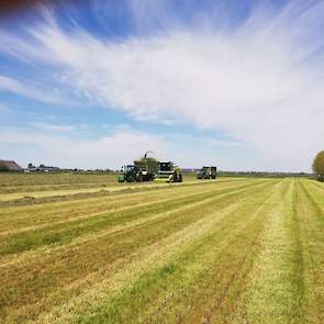 Volgens Bregman zat er in ieder geval veel suiker in het gras. „De pijp van de hakselaar zat een paar keer verstopt." Ook dit keer is weer een inkuilmiddel gebruikt.