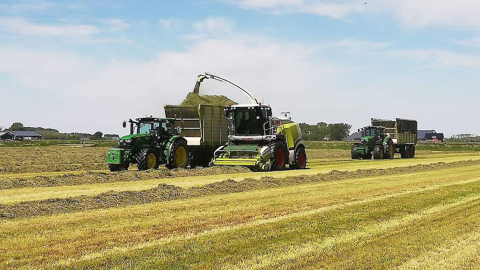 Vanwege de flinke opbrengst en het stengelige product, koos Bregman dit keer wel voor de hakselaar. De loonwerker heeft ook een hakselaar met NIR-sensor maar die was dit keer niet beschikbaar. „Jammer, want dan hadden we wat meer info gehad over de opbren