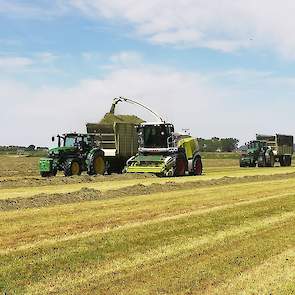 Vanwege de flinke opbrengst en het stengelige product, koos Bregman dit keer wel voor de hakselaar. De loonwerker heeft ook een hakselaar met NIR-sensor maar die was dit keer niet beschikbaar. „Jammer, want dan hadden we wat meer info gehad over de opbren