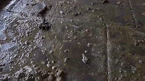 Tegels op bestaande vloer moeten dunne en dikke mest eenvoudig scheiden - Melkvee