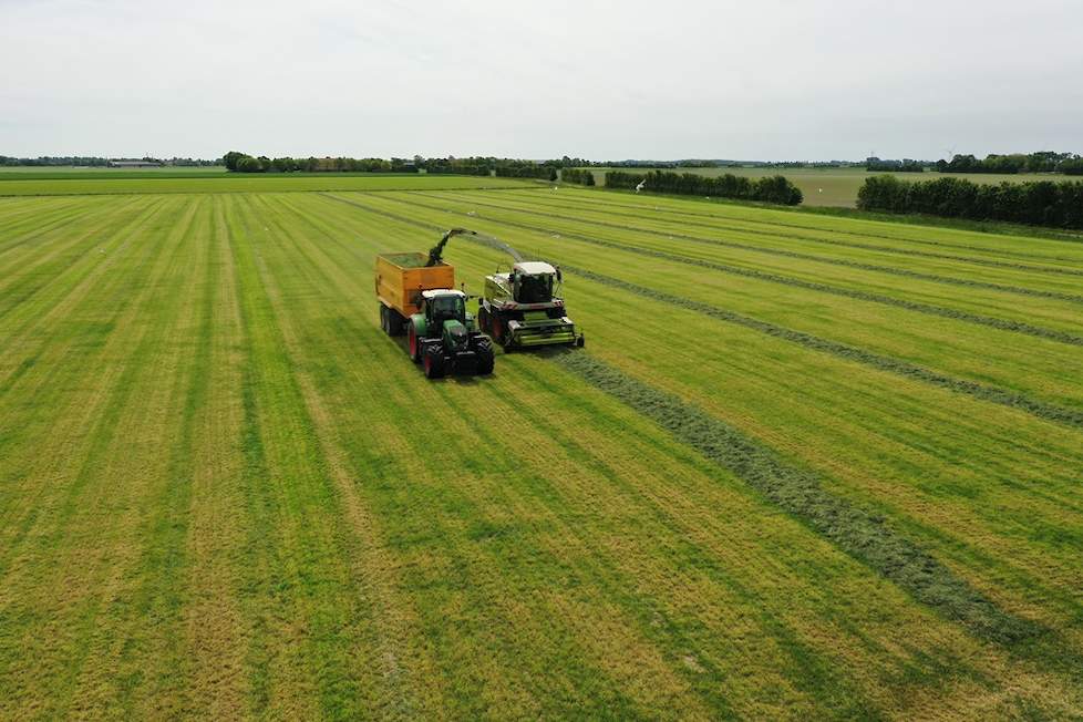 donderdag 23 mei hakselt loonbedrijf van der Maas de 2e snede grasland, ingezaaid met een mengsel van LG HAVERA 1 en 6