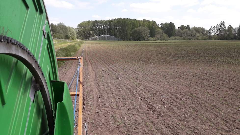 Rond 26 mei startte Van Zoelen met het beregenen van de maïs. De omgeving van Druten kwam er tot dat moment bekaaid vanaf met de regen. "Er waren planten die niet genoeg vocht hadden om door te groeien." In totaal werd er 25 millimeter beregend.