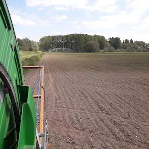 Rond 26 mei startte Van Zoelen met het beregenen van de maïs. De omgeving van Druten kwam er tot dat moment bekaaid vanaf met de regen. "Er waren planten die niet genoeg vocht hadden om door te groeien." In totaal werd er 25 millimeter beregend.