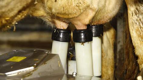 'Boeren met melkrobotproblemen durven niet te praten' - Melkvee