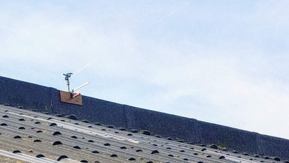 Boerin Carola heeft gisteren sproeiers op het dak geplaatst. De pomp staat in de sloot. ,,Zo houden we de warmte beetje uit de stal. Koeien waren gewoon buiten vandaag. Stond nog wel een windje in de wei hier in Noord Holland. #geenhittestress", schrijft