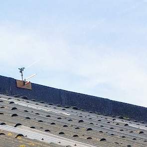 Boerin Carola heeft gisteren sproeiers op het dak geplaatst. De pomp staat in de sloot. ,,Zo houden we de warmte beetje uit de stal. Koeien waren gewoon buiten vandaag. Stond nog wel een windje in de wei hier in Noord Holland. #geenhittestress", schrijft