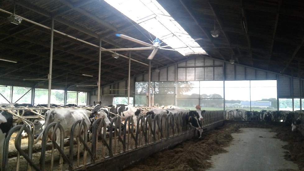 Evert Pleizier is er klaar voor: ,,Kom maar op met diehittegolf . We zijn er beter op voorbereid dan vorig jaar: extra waterbakken buiten, ventilator bij de koeien, 2 ventilators in de melkput en een groter zwembad. #geenhittestress", luidt zijn boodschap