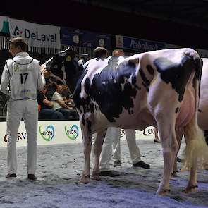 Op de tweede plaats kwam de wat extremere Capital Gain-dochter New Moore Capital Esmeralda van de familie Prent-Withaar, een zeer grote, lange vaars. Nog net zichtbaar op de foto is de nummer 3 in deze rubriek, EK-ganger Margriet 464 van de familie De Bru