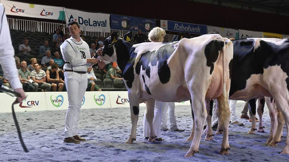 Op de tweede plaats kwam de sterk gebouwde Mogul-dochter Cinderella van de familie Prins uit Hasselt. Achter haar is nog een glimp op te vangen van de nummer drie in deze rubriek, Groot Lambalgen Flora 413 van de vof Groot-Nieuwenhuizen uit Woudenberg. De