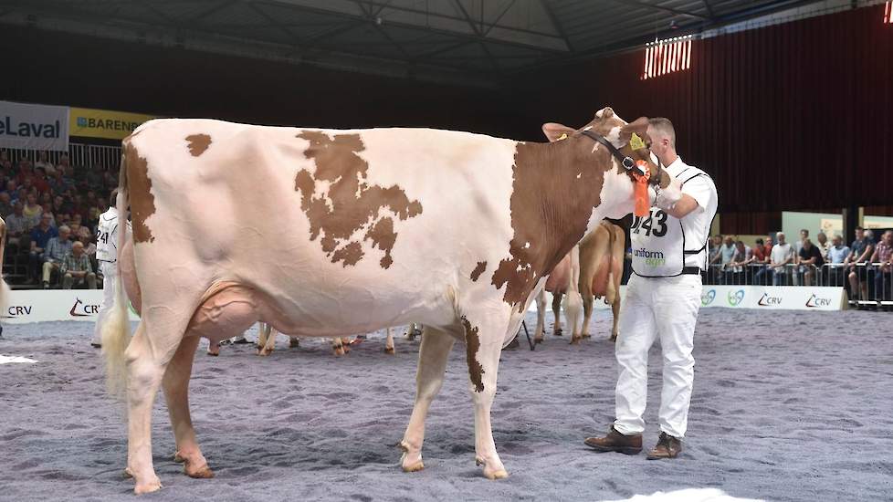 Ze werd gevolgd door krachtpatser Bossink Gerda 64, een Curtis-dochter van Van der Kolk, die Nederland onlangs vertegenwoordigde op het EK. Haar moeder Gerda 47 greep op de vorige NRM net naast het reservekampioenschap van de senioren.