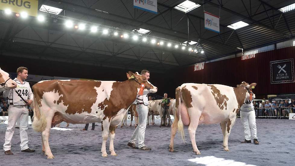 Barendonk Paulina 188, een Fraiko-dochter van Hermanussen werd op basis van haar ondiepere uier voor Heerenbrink Truus 4 geplaatst. Beide koeien hebben overigens in de tweede lijst een fantastisch eiwitgehalte van boven de 4 procent gerealiseerd, waarbij